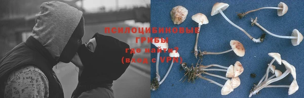спайс Строитель
