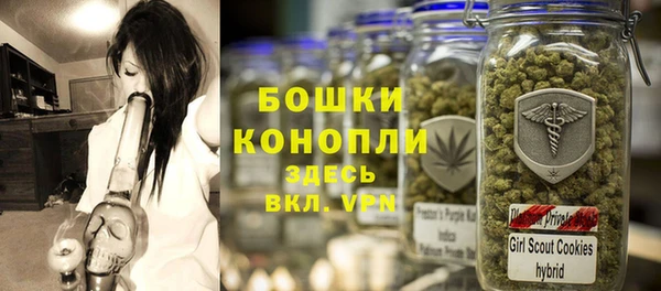 мдпв Куртамыш